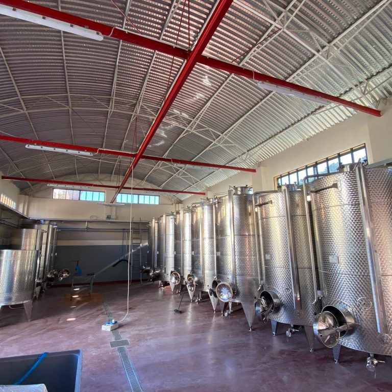 Azienda Agricola RoccaVinealis - Roccavignale, Provincia di Savona - Coltivazione di Granaccia - Vino Rosso di Liguria - Luglio 2021