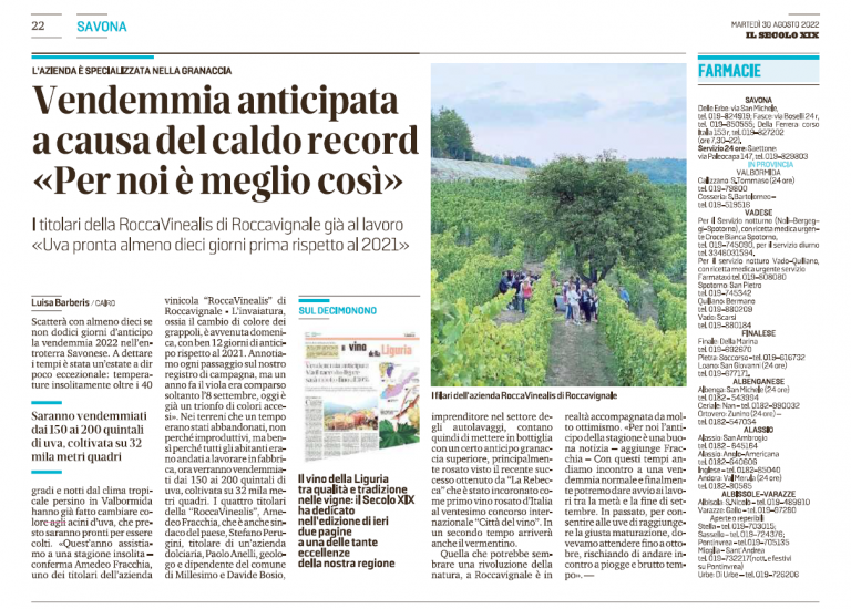Il Secolo XIX 30 Agosto 2022 - Azienda Agricola RoccaVinealis - Roccavignale, Provincia di Savona - Coltivazione di Granaccia - Vino Liguria