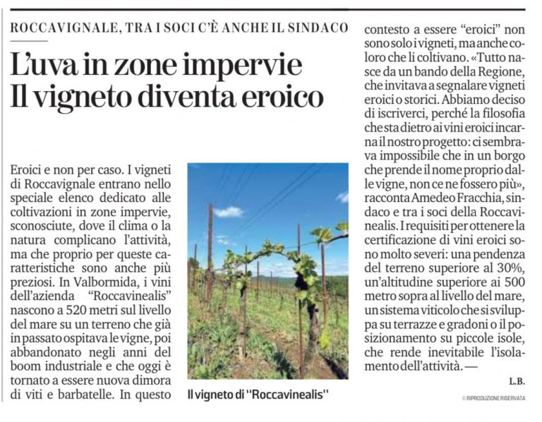 La Stampa 12 Maggio 2023 - Azienda Agricola RoccaVinealis - Roccavignale, Provincia di Savona - Coltivazione di Granaccia - Vino Liguria