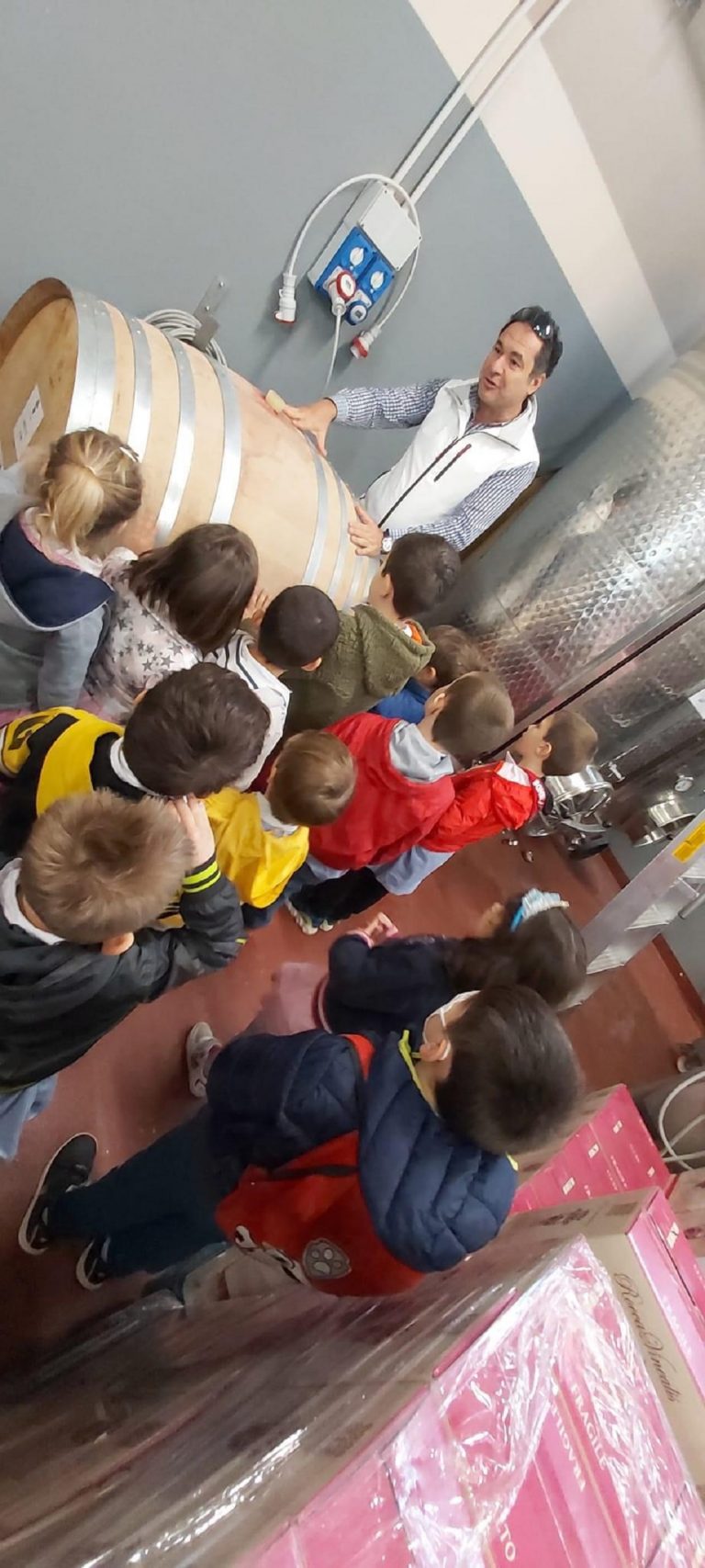 Azienda Agricola RoccaVinealis Roccavignale - Provincia di Savona Coltivazione di Granaccia e Vermentino – Asilo Roccavignale 2023
