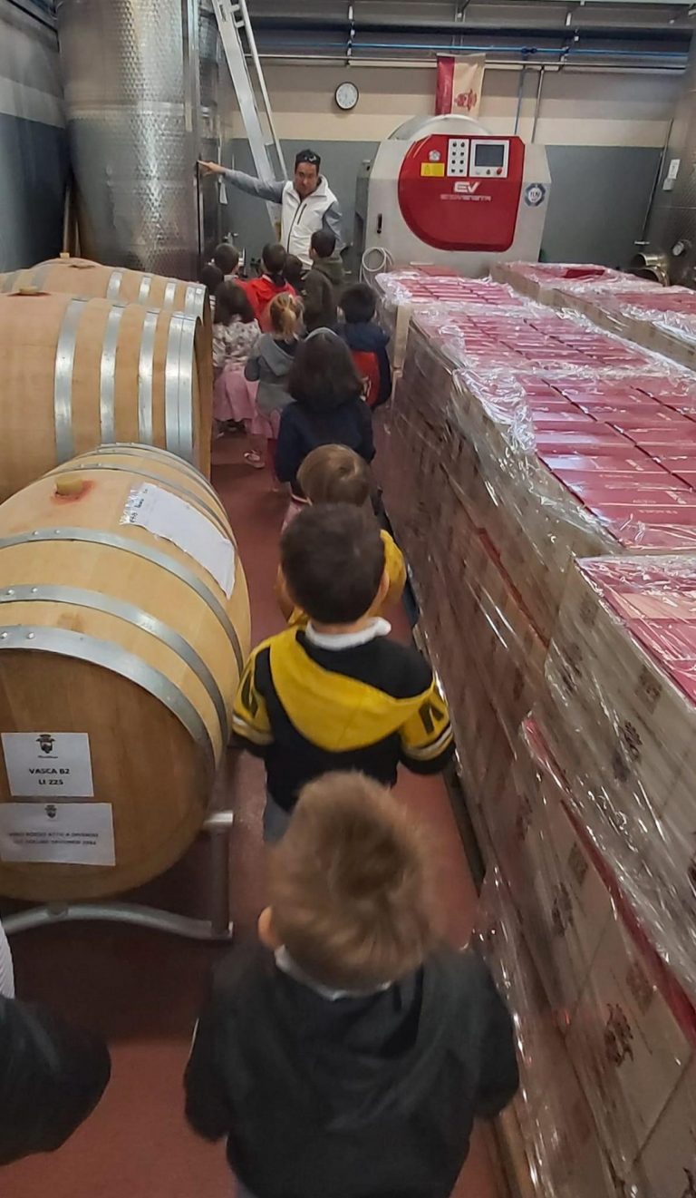 Azienda Agricola RoccaVinealis Roccavignale - Provincia di Savona Coltivazione di Granaccia e Vermentino – Asilo Roccavignale 2023