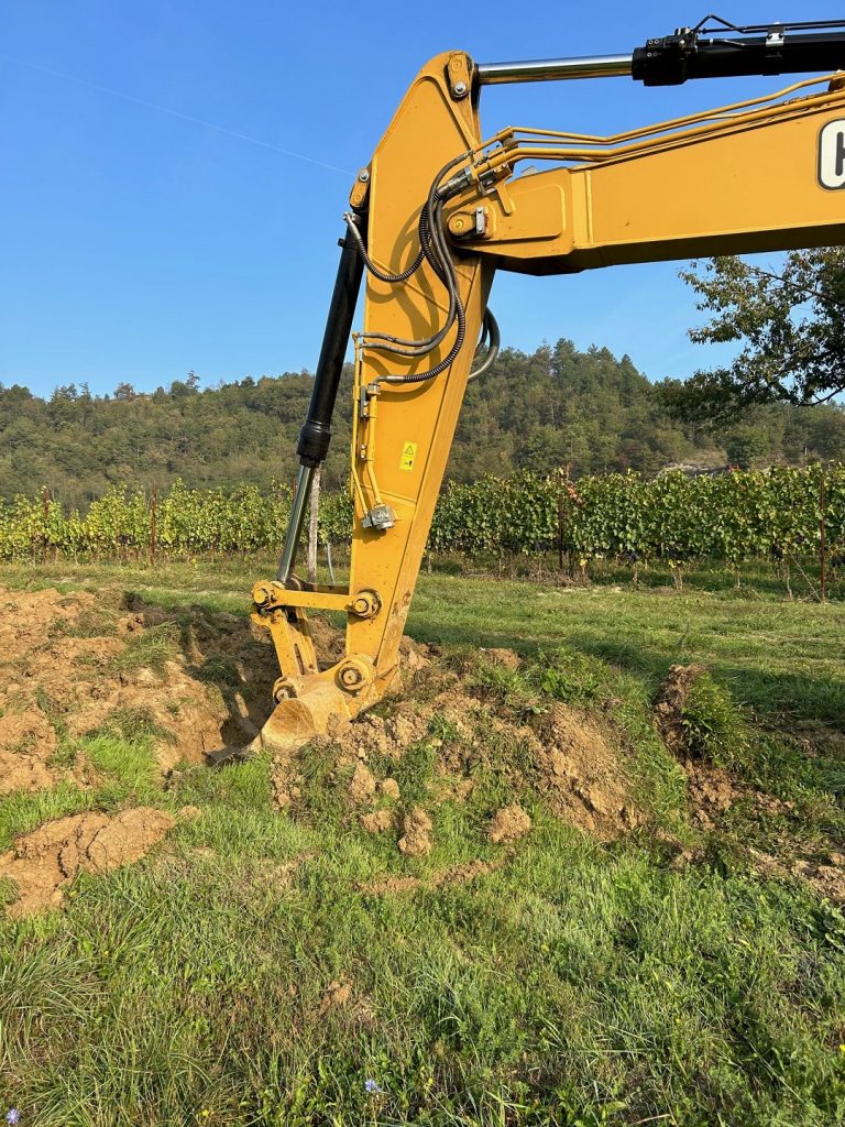 Azienda Agricola RoccaVinealis Roccavignale - Provincia di Savona Coltivazione di Granaccia e Vermentino – Barbatelle 2024