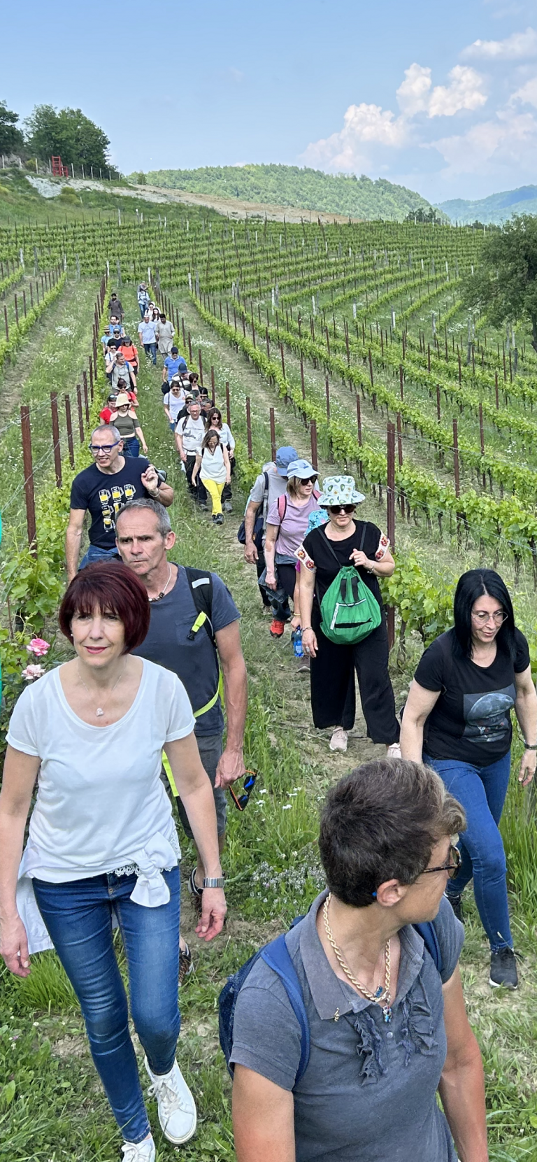 Azienda Agricola RoccaVinealis Roccavignale - Provincia di Savona Coltivazione di Granaccia e Vermentino – Giornata FAI 2023