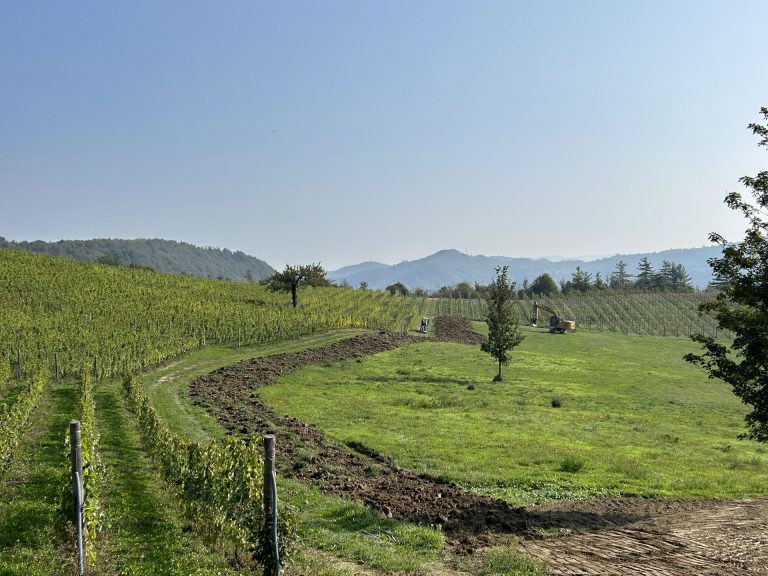 Azienda Agricola RoccaVinealis Roccavignale - Provincia di Savona Coltivazione di Granaccia e Vermentino – Scasso terreno