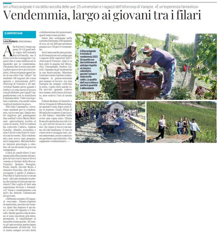 Il Secolo XIX 26 Settembre 2025 - Azienda Agricola RoccaVinealis - Roccavignale, Provincia di Savona - Coltivazione di Granaccia - Vino Liguria